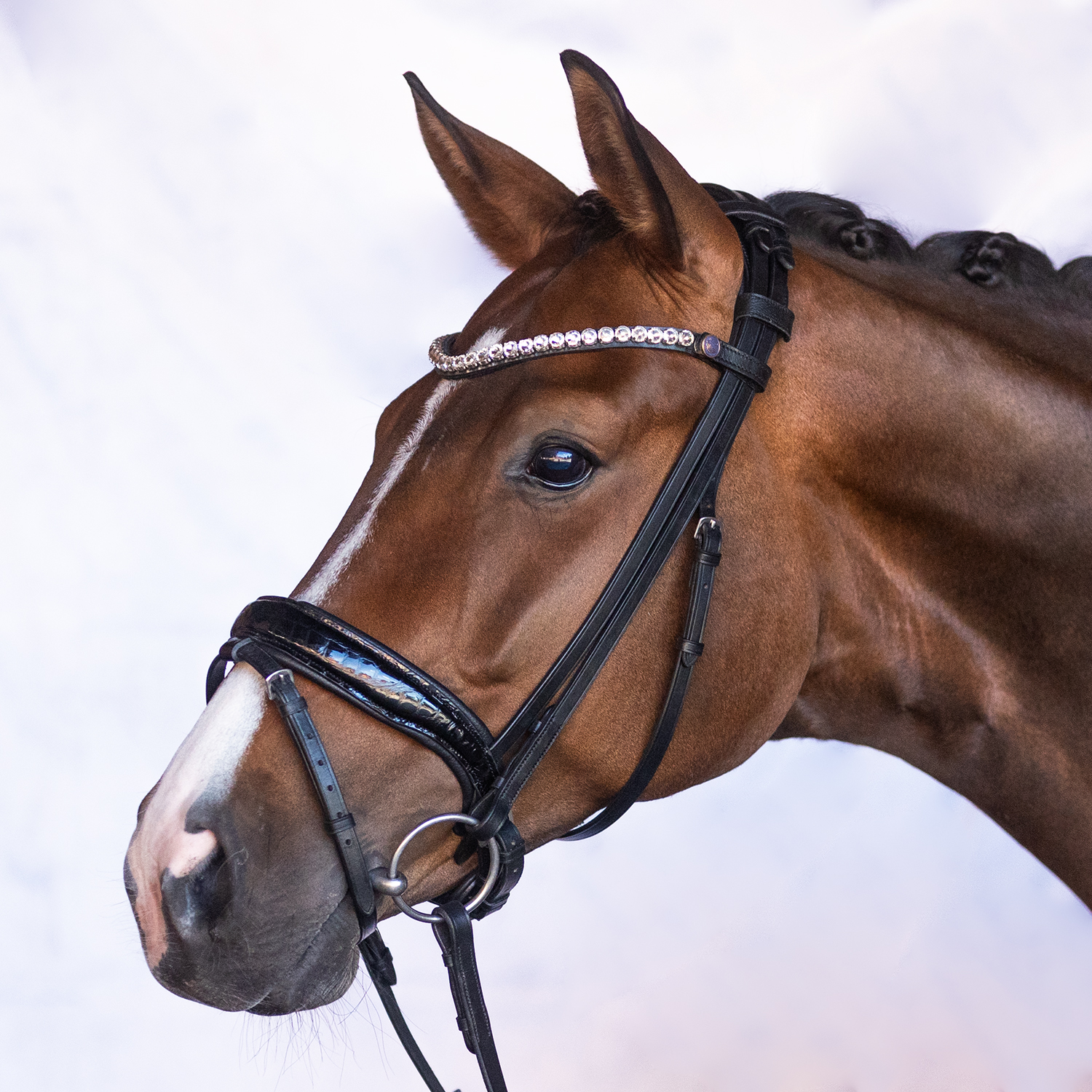 Bridle Velvet Full Swedish Croco Patent